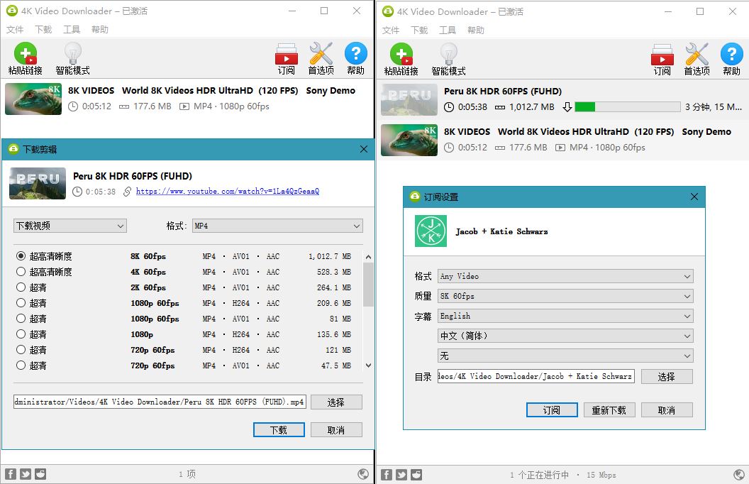 4K Video Downloader v4.30.0.5651-蓝海无涯